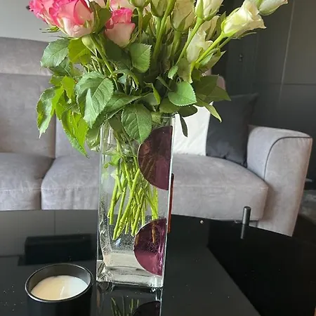 Sauna Premium Apartament