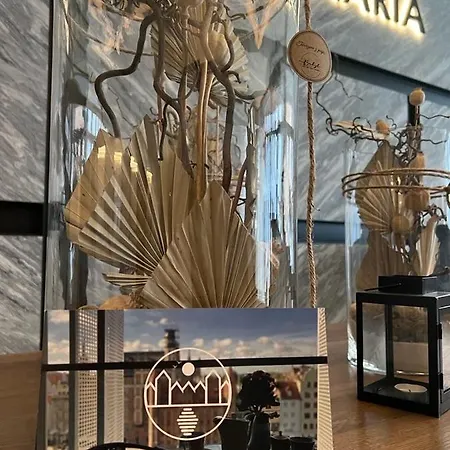 Sauna Premium Apartment