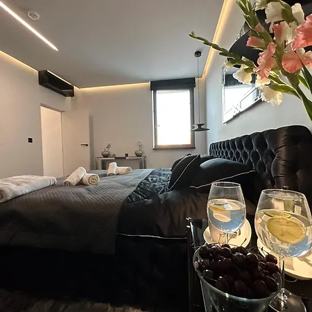公寓 Sauna Premium 格但斯克