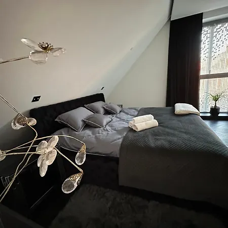 Sauna Premium Apartment *