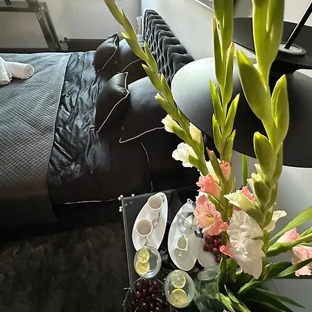 Sauna Premium Apartament