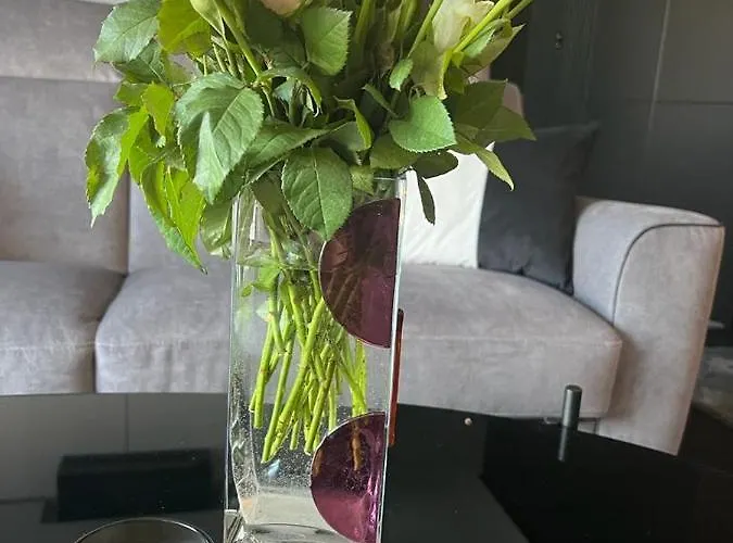 Sauna Premium Apartamento