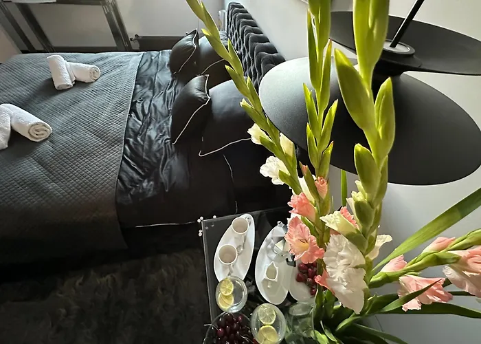 Sauna Premium Apartment