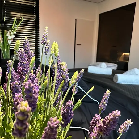 Sauna Premium Гданьск