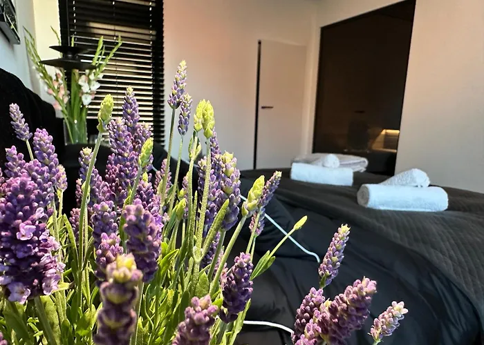 Sauna Premium Gdańsk